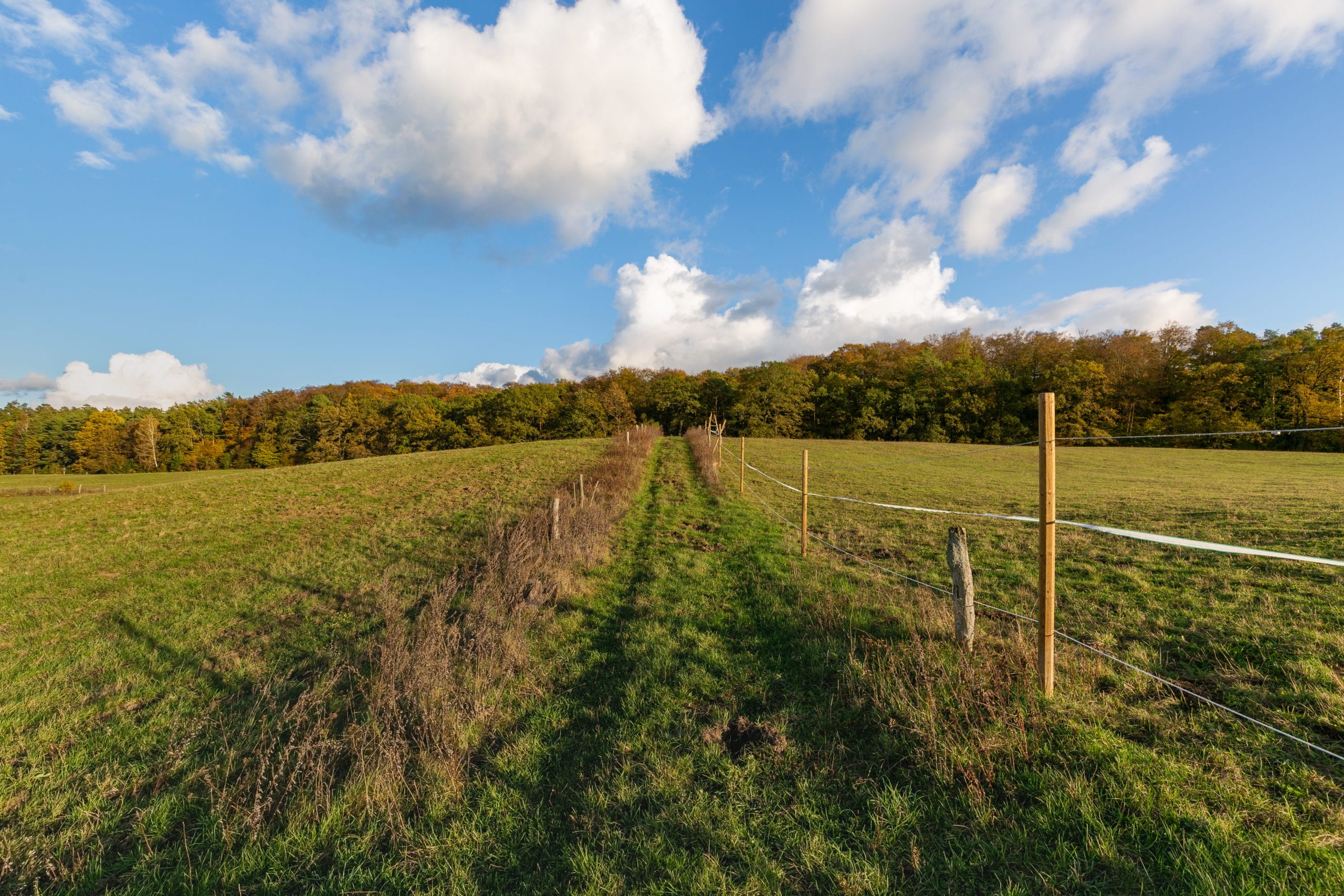 Gut Sarnow liegt mitten in der Schorfheide