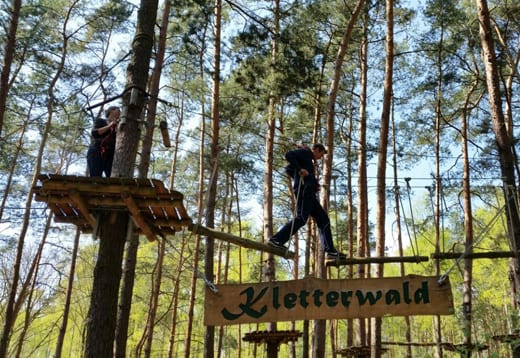 Teambuildingmaßnahme Kletterwald Schorfheide