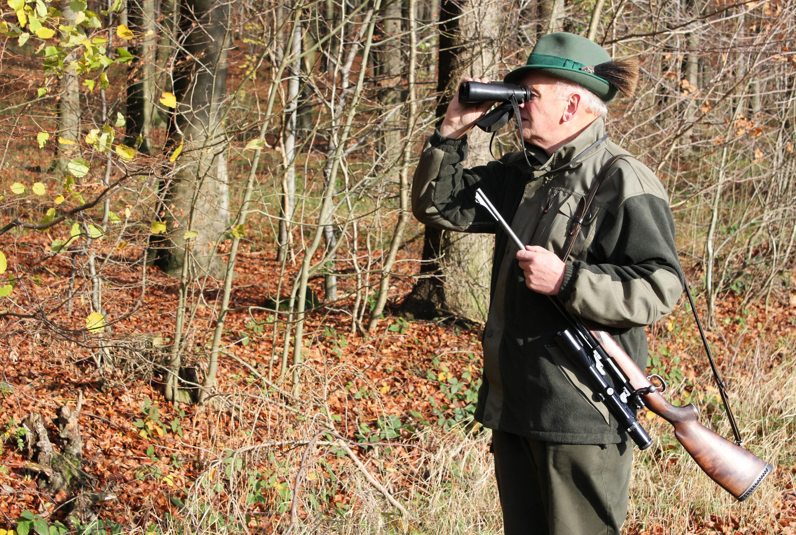 Försterstunde mit dem Revierförster Jagdurlaub in Brandenburg